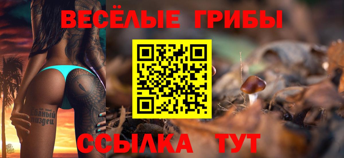 Галлюциногенные грибы Magic Shrooms Амурск